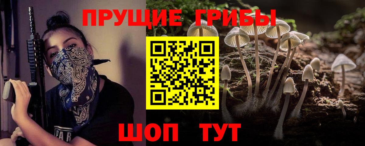Ханты-Мансийск  Галлюциногенные грибы Cubensis  Вход с VPN 